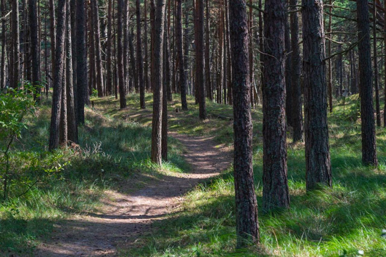 Villa Aido Palanga Bagian luar foto